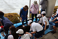 Img_3956