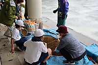 Img_3958