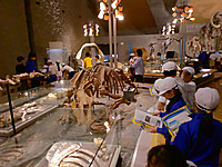 Dscf0048