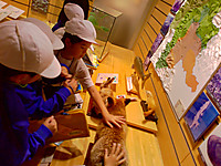 Dscf0054