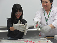 Img_8387