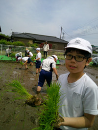 Dscf0043