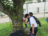 Img_9721
