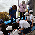 Img_3956