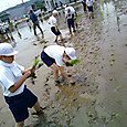 Dscf0027