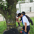 Img_9721